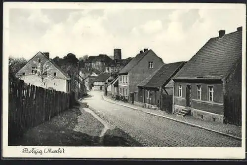 AK Belzig /Mark, Strassenpartie mit Wohnhäusern