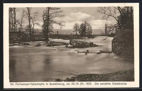 AK Quedlinburg, zerstörte Schafbrücke während der Hochwasserkatastrophe 1925
