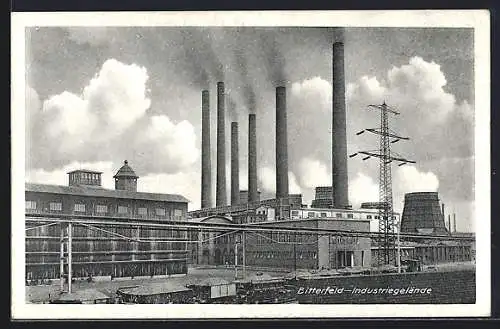 AK Bitterfeld, Schornsteine auf dem Industriegelände