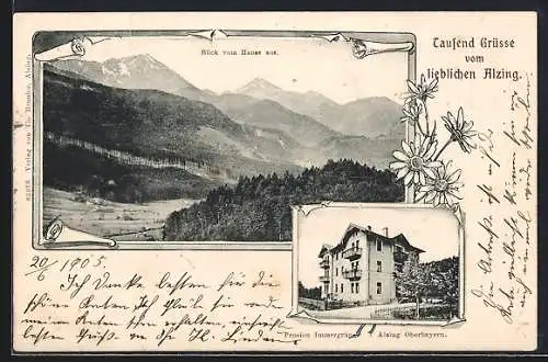 AK Alzing /Oberbayern, Pension Immergrün, Blick vom Hause aus