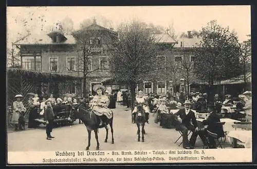 AK Dresden-Wachwitz, Gasthaus zum Wachberg mit Garten