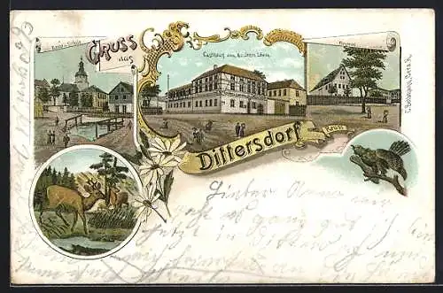 Lithographie Dittersdorf / Schleiz, Gasthaus zum goldenen Löwen, Kirche und Schule