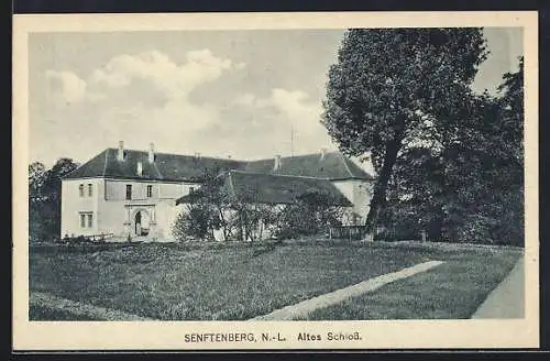 AK Senftenberg /N.-L., Altes Schloss mit Anlagen