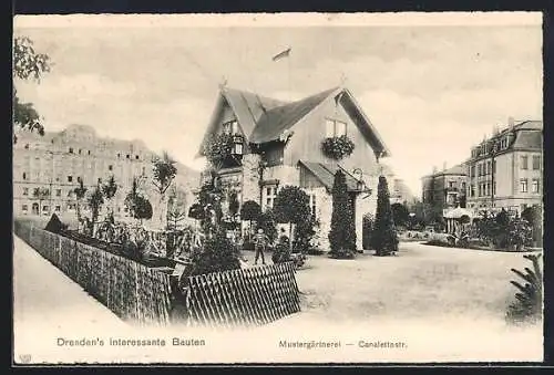 AK Dresden, Mustergärtnerei in der Canalettostrasse