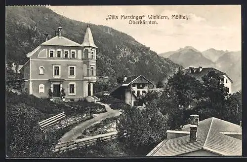 AK Winklern /Mölltal, Pension Villa Merzinger mit Garten
