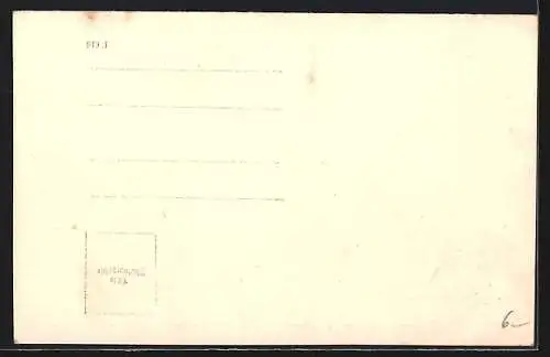 AK Mann fährt im Auto nach Grinzing