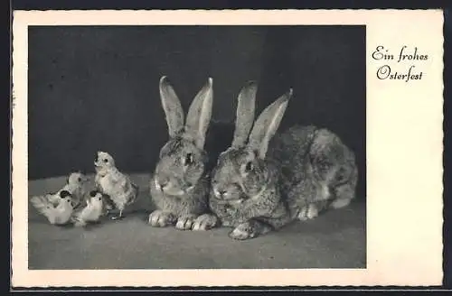 AK Zwei Osterhasen mit Spielzeugküken, Ein frohes Osterfest