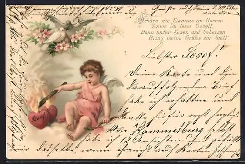 AK Amor entzündet zwei Herzen, Turteltauben auf einem Zweig