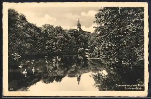 AK Sondershausen /Thür, Partie am Schloss-Teich