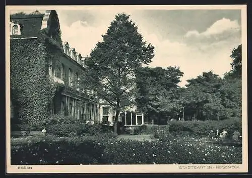 AK Essen, Roseneck im Stadtgarten