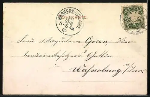 AK Bad Aibling, Ortsansicht mit Gebirgspanorama