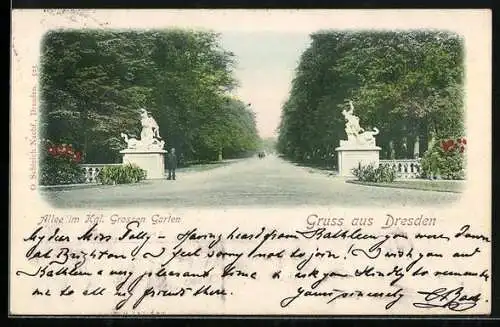 AK Dresden, Allee im Kgl. Grossen Garten