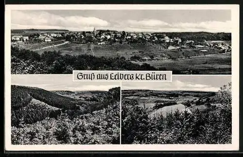 AK Leiberg /Büren, Gesamtansicht und Waldpartien mit Panorama