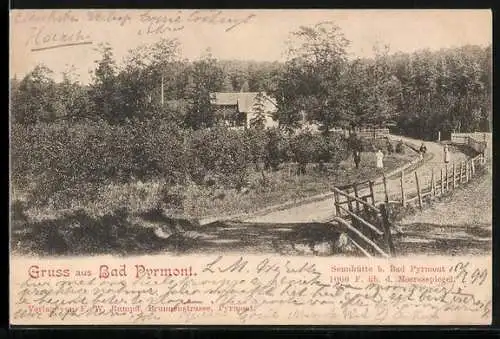AK Bad Pyrmont, Sennhütte mit Feldweg