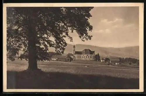 AK Steingaden /Obb., Wallfahrtskirche Wies, Blick über die Weide