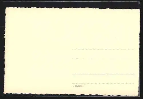 Foto-AK Adalbert Defner: Innsbruck vom Berg Isel, Ausssichtspavillon