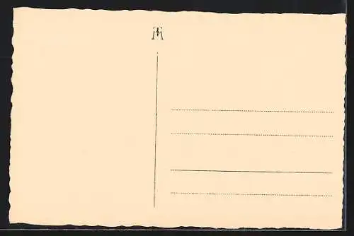 Foto-AK Adalbert Defner: Innsbruck, Panoramaansicht