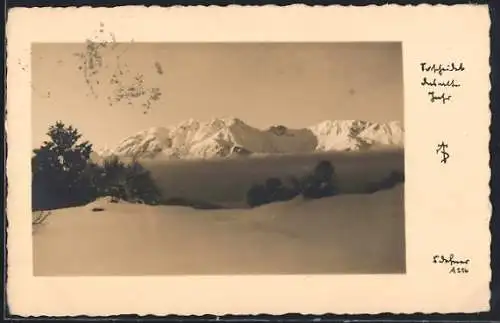 Foto-AK Adalbert Defner: letztes Leuchten der Berge