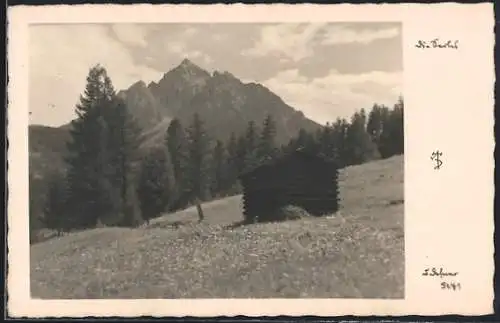 Foto-AK Adalbert Defner: Berghütte mit Gebirgspanorama