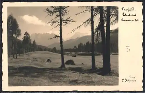 Foto-AK Adalbert Defner: Seefeld, Landschaft mit Bergpanorama
