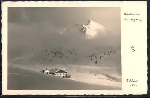 Foto-AK Adalbert Defner: Schneetreiben im Hochgebirge