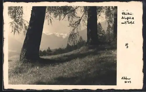 Foto-AK Adalbert Defner: Stubai, Durchblick auf Telfes