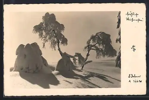 Foto-AK Adalbert Defner: Schneebedeckte Bäume, Weihnachtsgruss