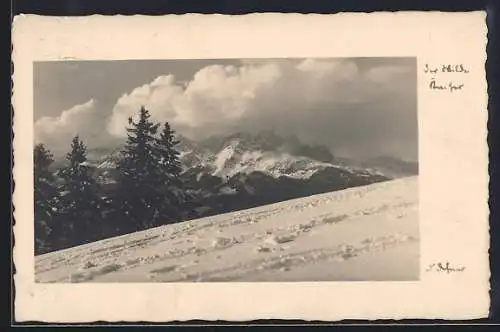 Foto-AK Adalbert Defner: Schneefeld mit Gipfelpanorama