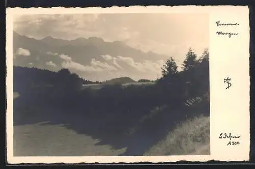Foto-AK Adalbert Defner: Sommermorgen