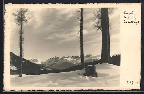 Foto-AK Adalbert Defner: Seefeld, Blick auf Gipfelpanorama im Winter