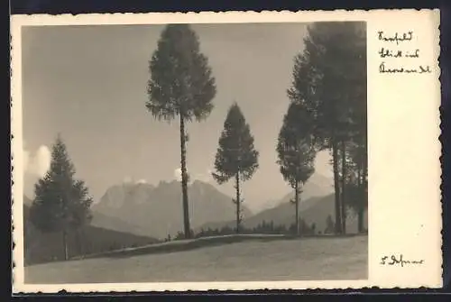 Foto-AK Adalbert Defner: Seefeld, Berglandschaft
