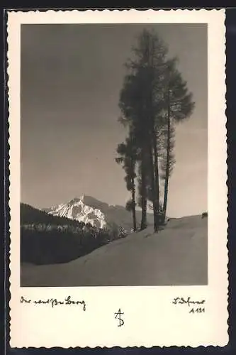 Foto-AK Adalbert Defner: Weisser Berg im Winter