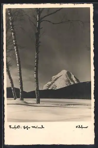 Foto-AK Adalbert Defner: Seefeld, Hohe Munde im Schnee