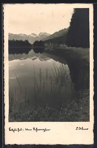 Foto-AK Adalbert Defner: Kitzbühel, Partie am Schwarzsee