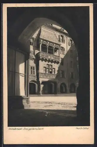 Foto-AK Adalbert Defner: Innsbruck, Blick auf das goldene Dachl