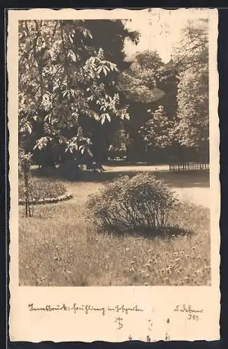 Foto-AK Adalbert Defner: Innsbruck, Frühling im Hofgarten