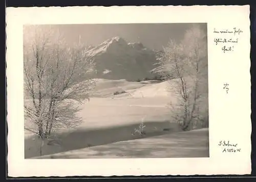Foto-AK Adalbert Defner: Verschneite Berglandschaft im Sonnenschein, Neujahrsgruss