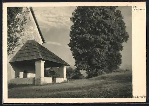 Foto-AK Adalbert Defner: Die Dorflinde an der Kirche