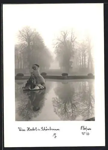 Foto-AK Adalbert Defner: Wien, Herbst in Schönbrunn