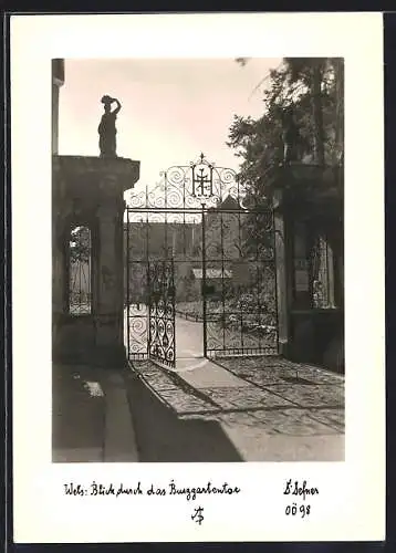 Foto-AK Adalbert Defner: Wels, Blick durch das Burggartentor