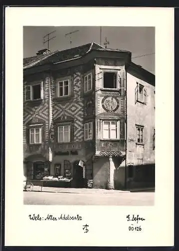 Foto-AK Adalbert Defner: Wels, Alter Adelssitz