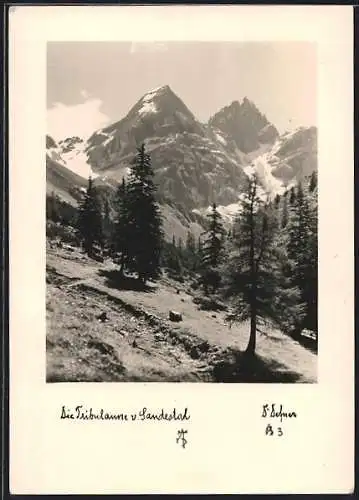 Foto-AK Adalbert Defner: Die Tribulaune v. Landestal