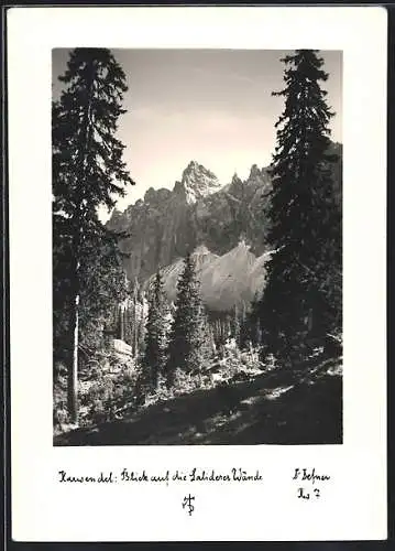 Foto-AK Adalbert Defner: Blick auf das Gebirge