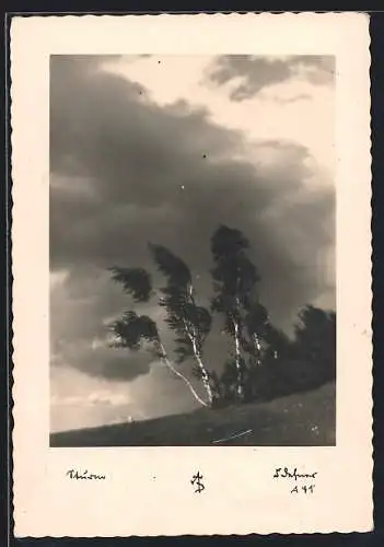 Foto-AK Adalbert Defner: Sturm