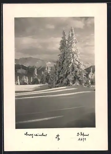 Foto-AK Adalbert Defner: Bergwinter