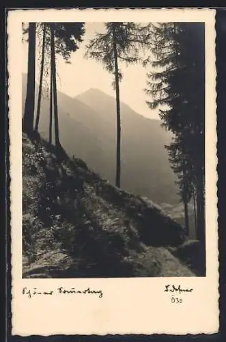 Foto-AK Adalbert Defner: Schöner Sommertag