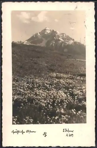 Foto-AK Adalbert Defner: Fröhliche Ostern