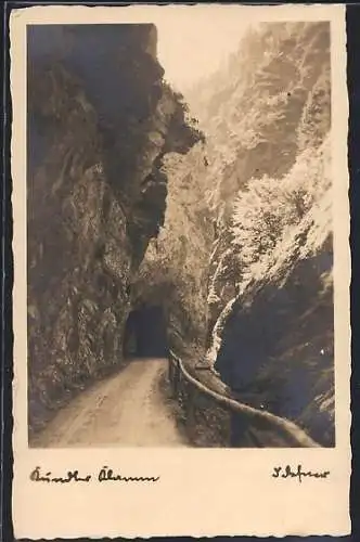 Foto-AK Adalbert Defner: Bergstrasse mit Tunnel, Klamm