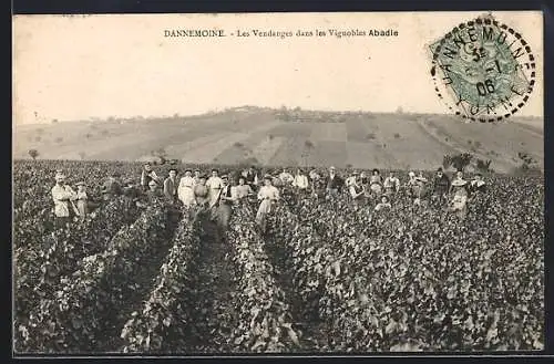 AK Dannemoine, Les Vendanges dans les Vignobles Abadie