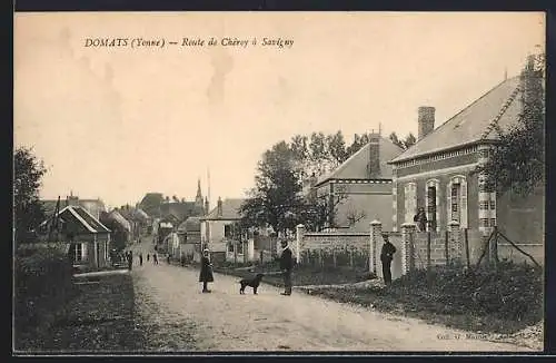 AK Domats /Yonne, Route de Chéroy à Savigny, vue de la rue avec passants et chien